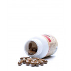 Eidon Bio organic huba Chaga extrakt 60 kapsúl