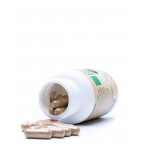 Eidon Bio organic huba Reishi extrakt 60 kapsúl