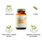 Laveen Vitamín C Bio Acerola 60 vegánskych kapsúl