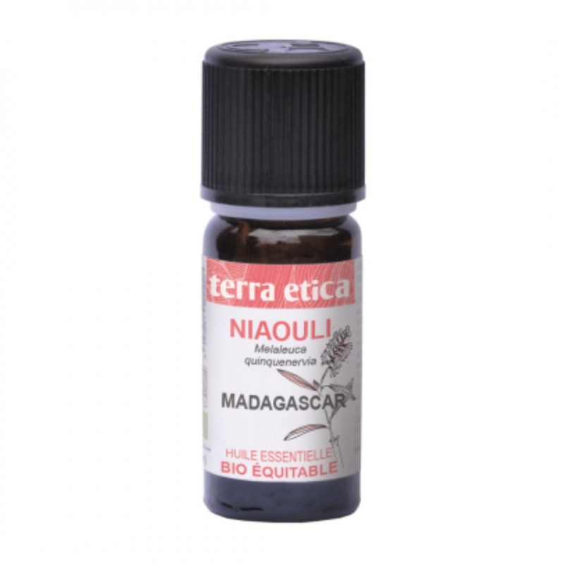 terra etica Bio esenciálny olej Niaouli z Madagaskaru, 10 ml